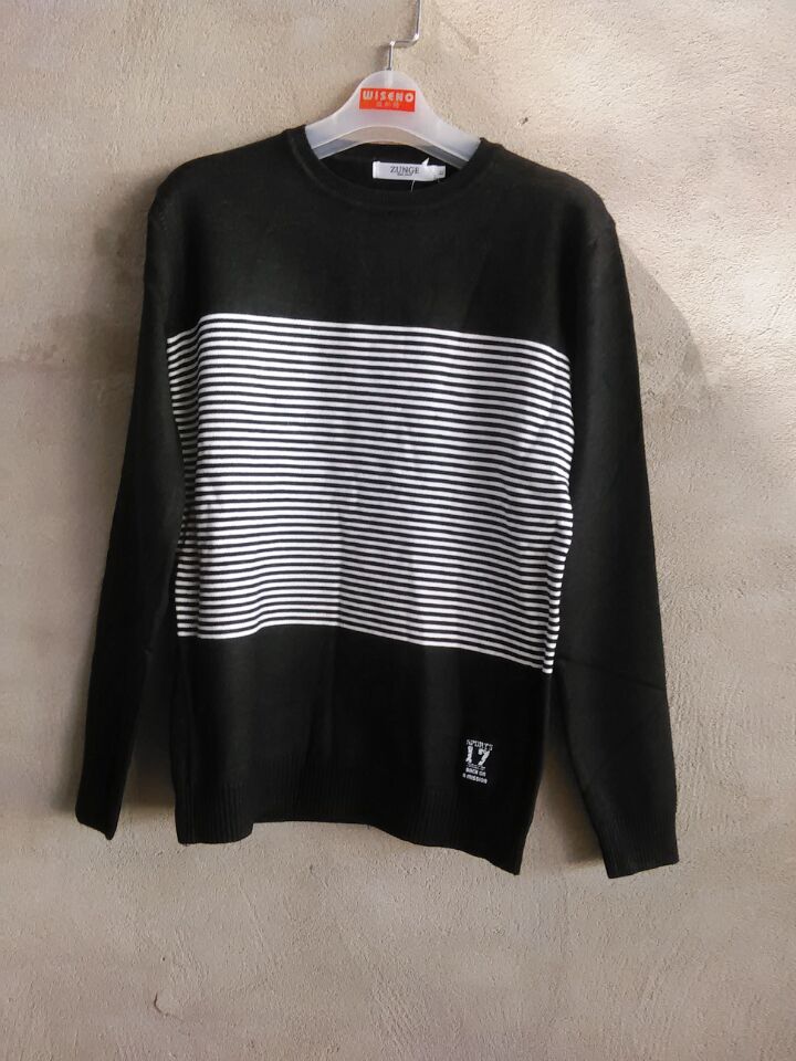 W05028813尊格男毛衣HH