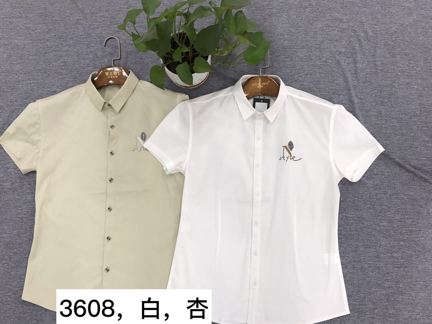 W03913608优经典男靓仔短袖衬衫MD