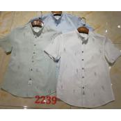 W13822239  百狮奴男靓仔短袖衬衫HH(ZTG)    