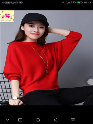 W3587188众兴毛织12针女套头毛衣MD