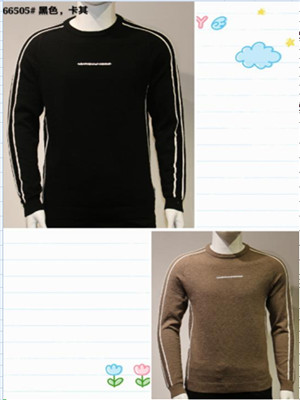 W066166505男套头毛衣(包芯纱)HH