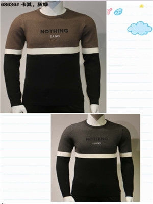 W066168636男套头毛衣(包芯纱)HH