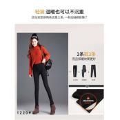 W05481220女休闲打底长裤MD