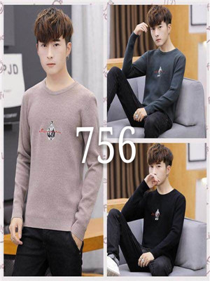 W6041756特价男毛衣(绣花)MD
