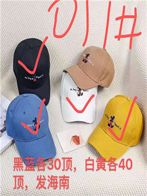 W3601011 男女鸭舌帽MD