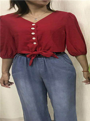 W32588956女中袖衬衫HH