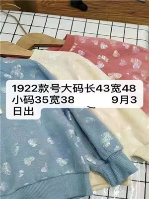 W11841922女大童长袖卫衣HH
