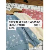 W11841922女大童长袖卫衣HH