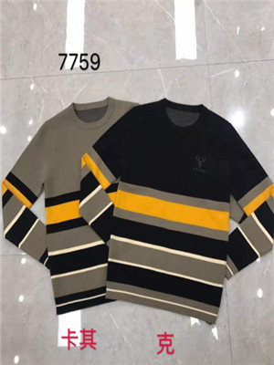 W38597759 男毛衣MD(系)