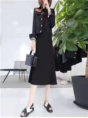 W38669828 女秋季两件套裙MD
