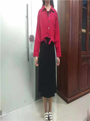 W3393110女秋季两件套裙MD质