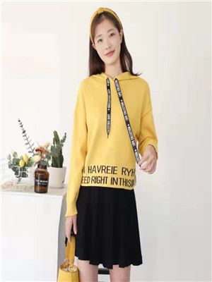W9070335女套头毛衣HH