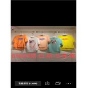 W39526162 女短袖T恤HH(15天)