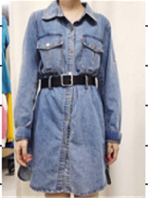 W3905881 女秋季连衣裙MD(系)