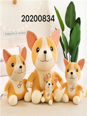 W11080834 8#柯基犬MD