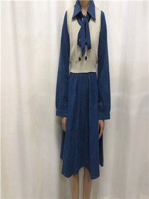 W32585072女秋季两件套裙MD