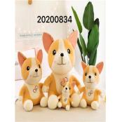 W11080834 8#柯基犬MD