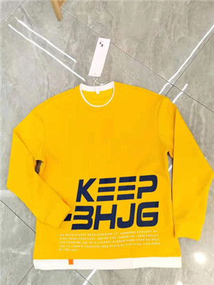 010T31007 男长袖卫衣MD(系)